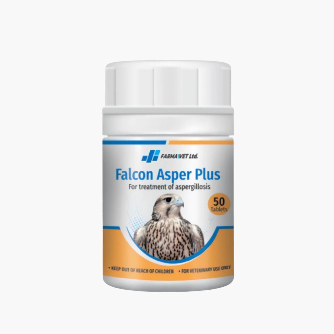 Falcon Asper Plus