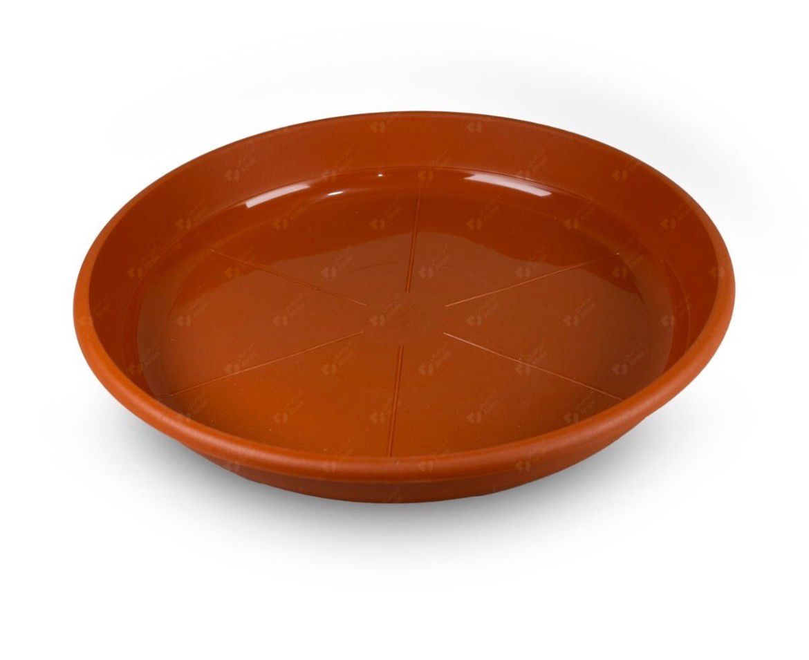 ليان ماء صغير